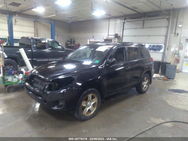 2010 TOYOTA RAV4 VIN: JTMBF4DVXAD029410