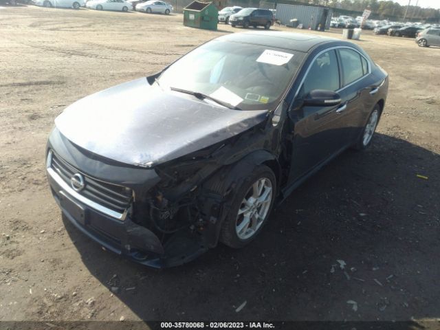 1N4AA5AP8EC445687 Nissan MAXIMA 3.5