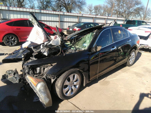 2008 HONDA ACCORD SDN EX-L VIN: JHMCP26838C059084