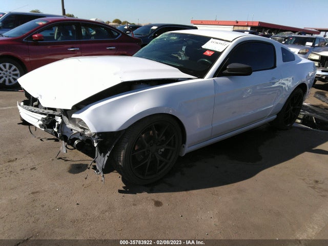 Ford Mustang V6 2014 1ZVBP8AM1E5288767 Image 2