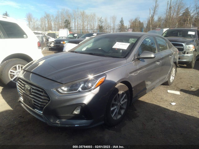 2019 Hyundai Sonata, VIN: 5NPE24AF6KH814895