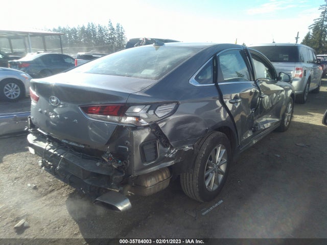 2019 Hyundai Sonata, VIN: 5NPE24AF6KH814895