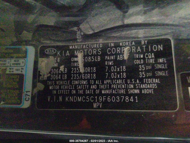KNDMC5C19F6037841 KIA Sedona Sx