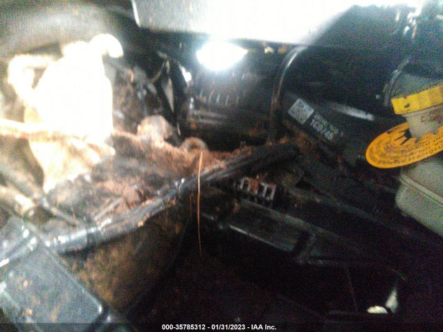 Dodge Grand Caravan Sxt 2019 2C4RDGCG9KR798049 Image 10