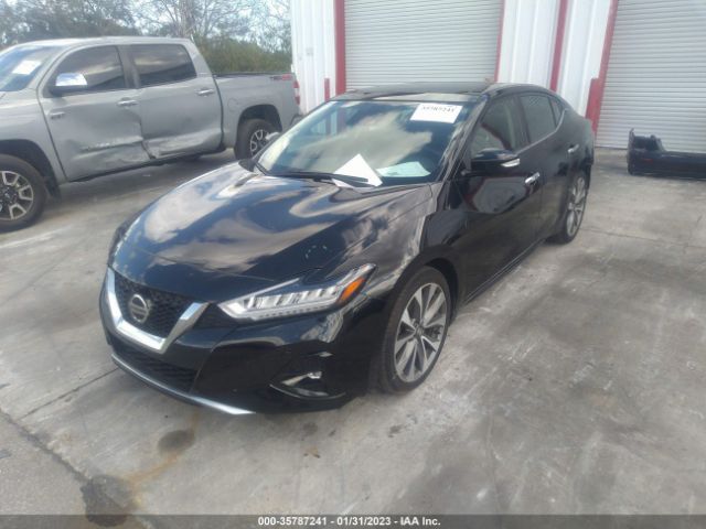 1N4AA6FVXLC375233 Nissan Maxima
