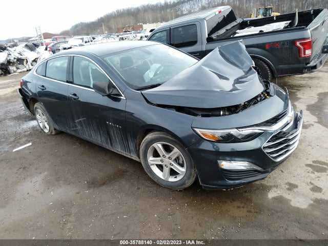 2021 1G1ZB5ST0MF042816 главное изображение