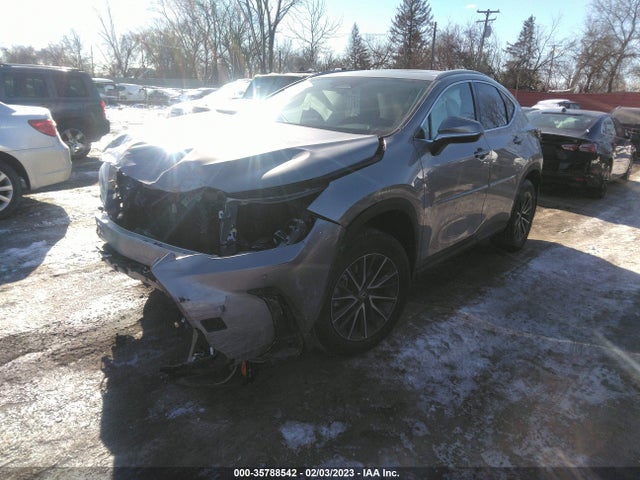 2023 Lexus NX, VIN: 2T2GKCEZ0PC011965