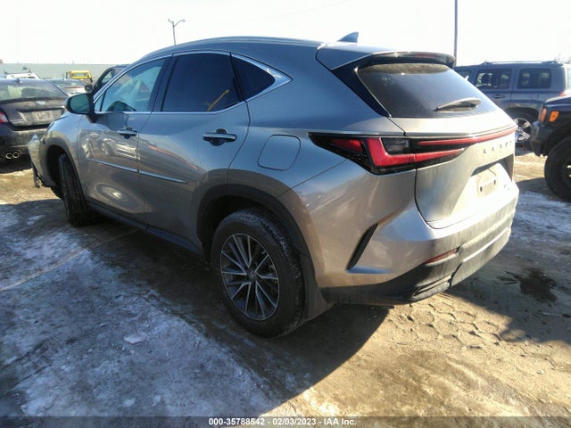 2023 Lexus NX, VIN: 2T2GKCEZ0PC011965