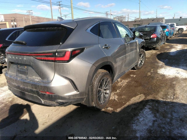 2023 Lexus NX, VIN: 2T2GKCEZ0PC011965