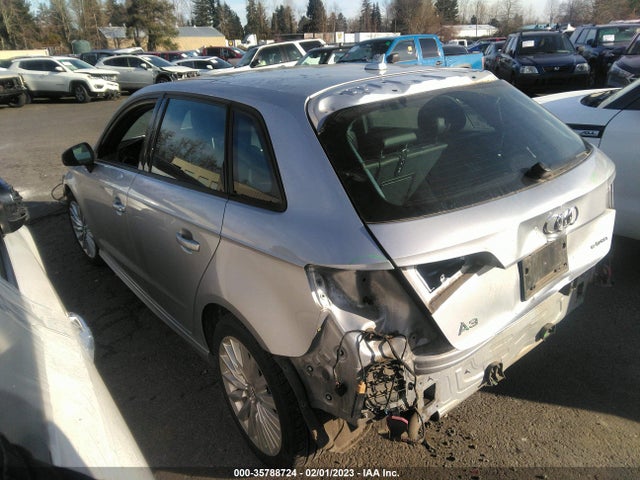 WAUUPBFF7GA130914 Audi A3 E-tron Premium