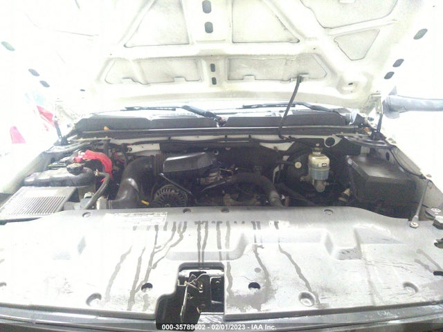2009 CHEVROLET SILVERADO 1500 WORK TRUCK VIN: 1GCEK14X59Z203097