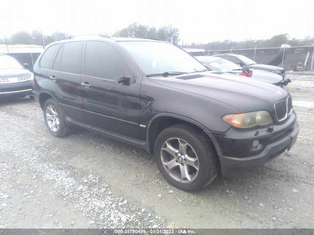 2006 BMW X5 3.0I VIN: 5UXFA13596LY40580