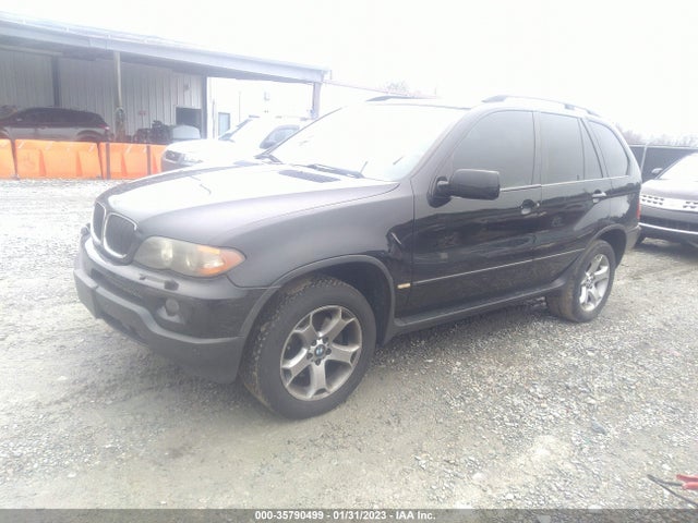 2006 BMW X5 3.0I VIN: 5UXFA13596LY40580