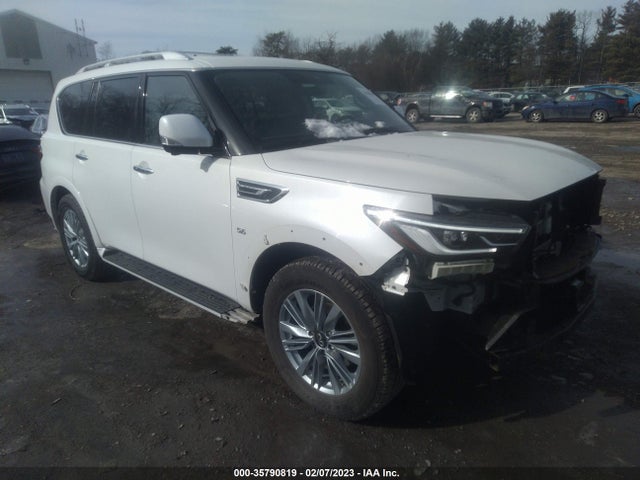 2019 Infiniti QX80, VIN: JN8AZ2NE1K9225394