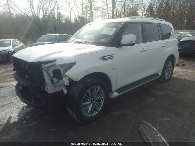 2019 Infiniti QX80, VIN: JN8AZ2NE1K9225394