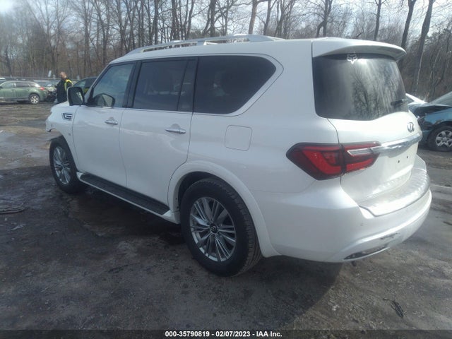 2019 Infiniti QX80, VIN: JN8AZ2NE1K9225394