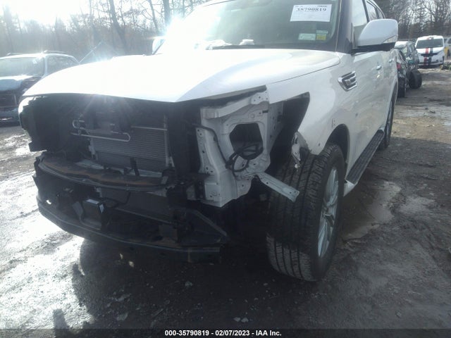 2019 Infiniti QX80, VIN: JN8AZ2NE1K9225394