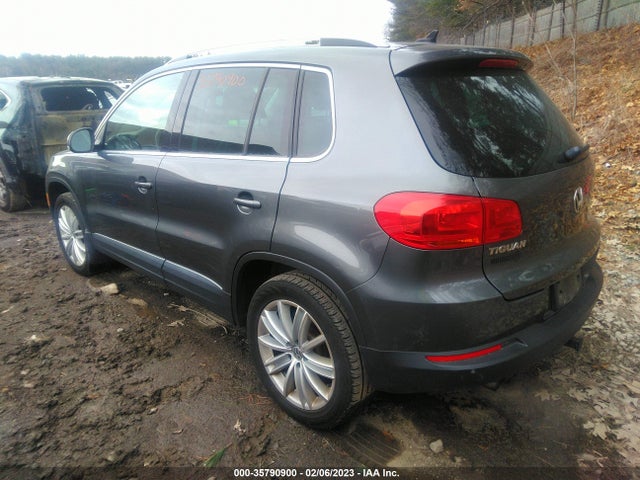 WVGBV3AX0EW616918 Volkswagen Tiguan Sel