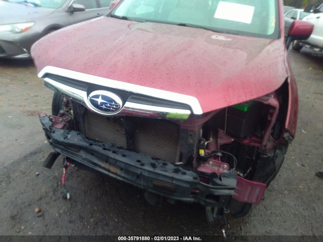 2016 Subaru Forester, VIN: JF2SJAFC4GH519692