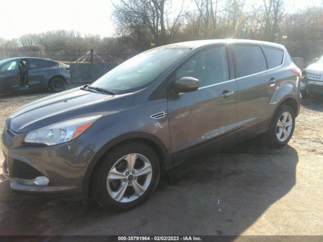1FMCU0GX7EUA88884 Ford ESCAPE SE