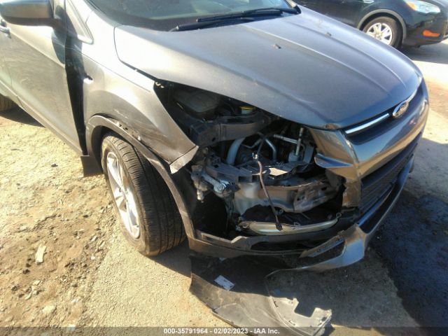 1FMCU0GX7EUA88884 Ford ESCAPE SE