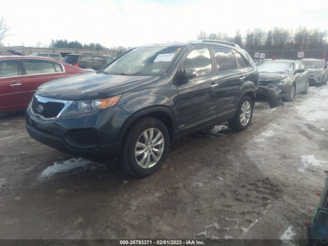 5XYKTDA2XBG062784 KIA SORENTO LX