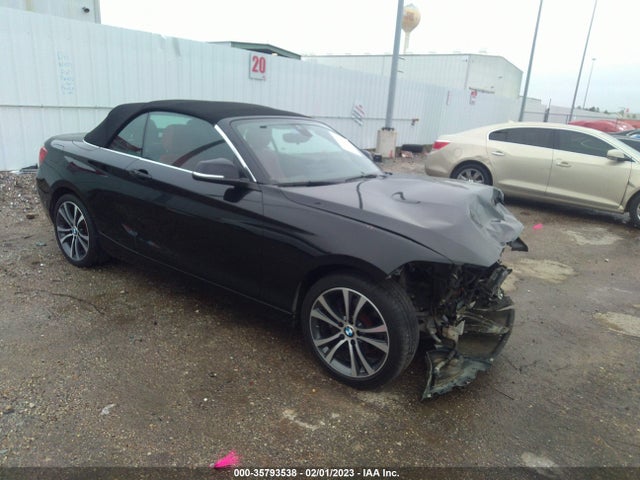 2016 BMW 2 Series, VIN: WBA1K9C55GV322766