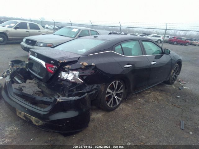 1N4AA6AP2JC379668 Nissan MAXIMA SV