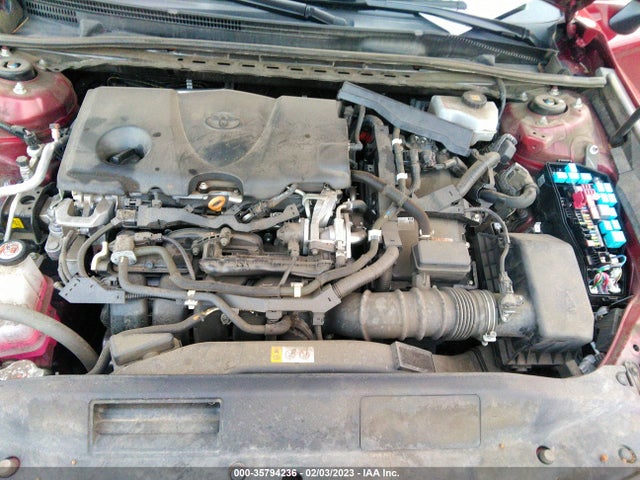 2019 Toyota Camry, VIN: 4T1B31HK9KU511371