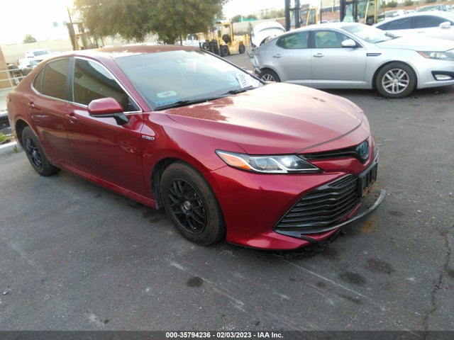 2019 Toyota Camry, VIN: 4T1B31HK9KU511371