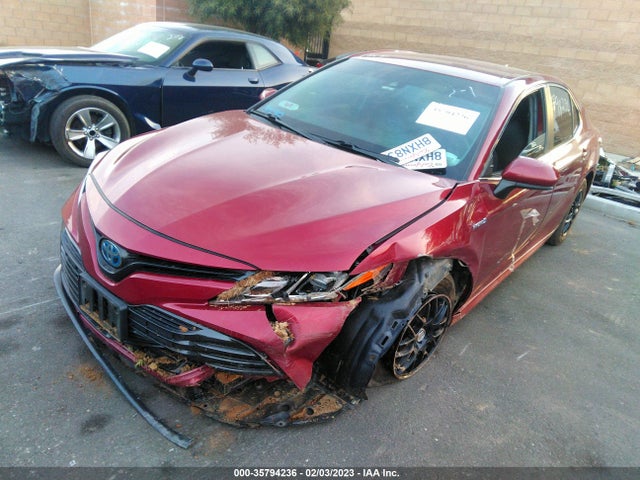 2019 Toyota Camry, VIN: 4T1B31HK9KU511371