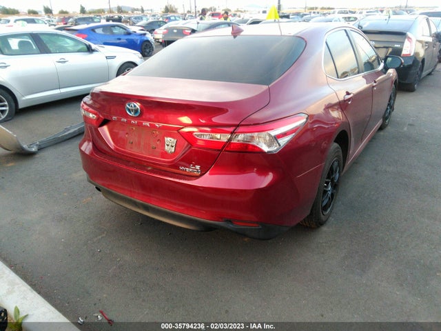 2019 Toyota Camry, VIN: 4T1B31HK9KU511371