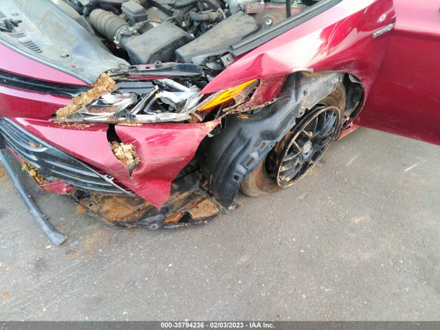2019 Toyota Camry, VIN: 4T1B31HK9KU511371