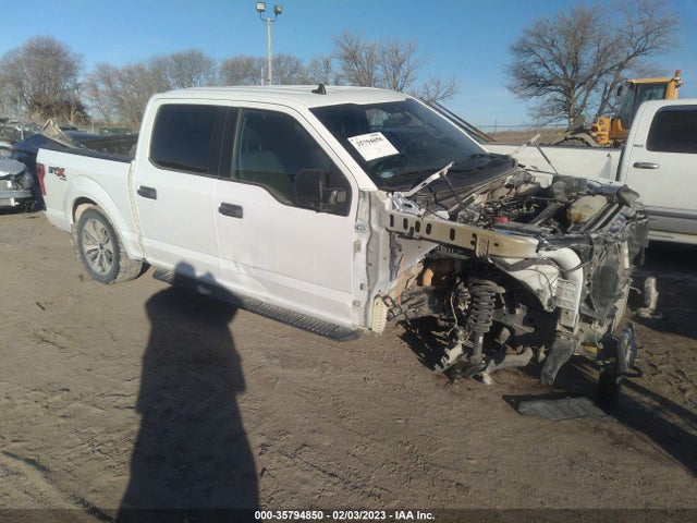2020 Ford F-150, VIN: 1FTEW1EP2LKD96442