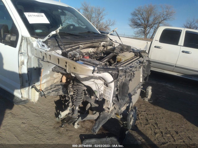 2020 Ford F-150, VIN: 1FTEW1EP2LKD96442