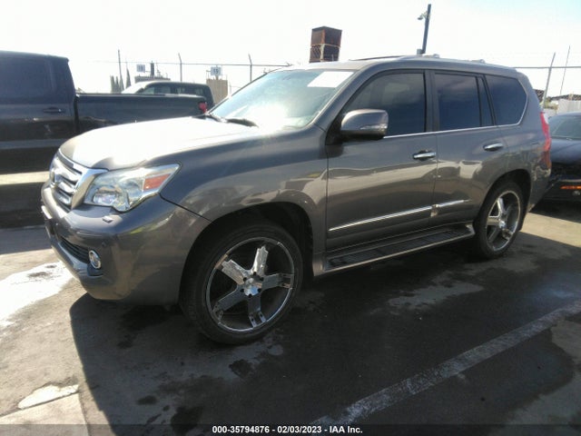 Lexus Gx 460 Premium 2010 JTJJM7FX2A5004509 Image 2