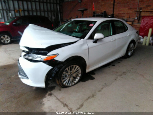 Toyota CAMRY XLE 2020 4T1F11AK2LU888997 Image 2