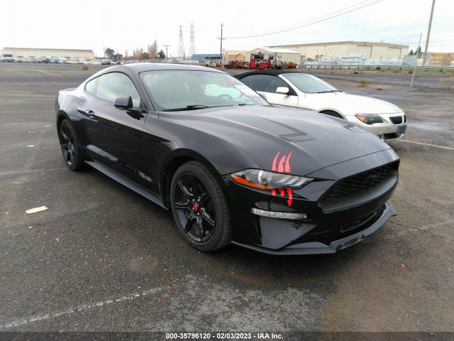 2019 Ford Mustang, VIN: 1FA6P8THXK5148397