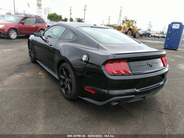 2019 Ford Mustang, VIN: 1FA6P8THXK5148397