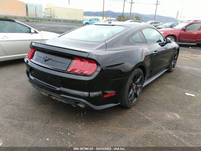 2019 Ford Mustang, VIN: 1FA6P8THXK5148397