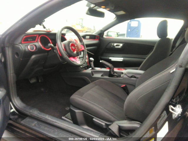 2019 Ford Mustang, VIN: 1FA6P8THXK5148397