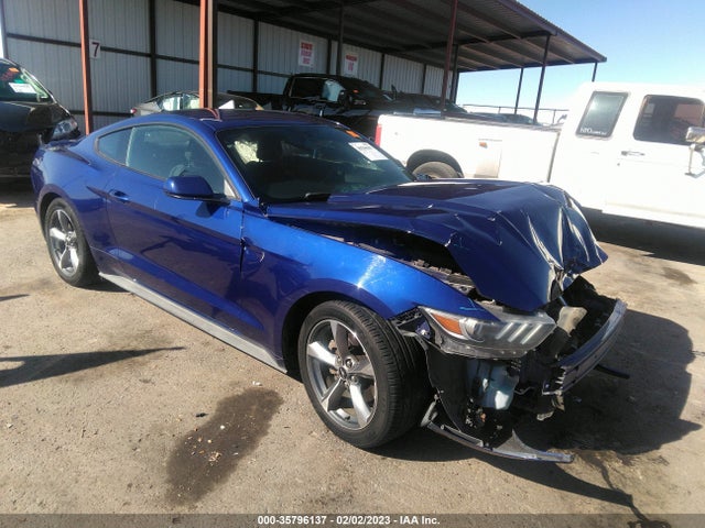 2015 Ford Fastback, VIN: 1FA6P8AM3F5381592