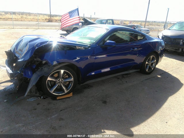 2015 Ford Fastback, VIN: 1FA6P8AM3F5381592