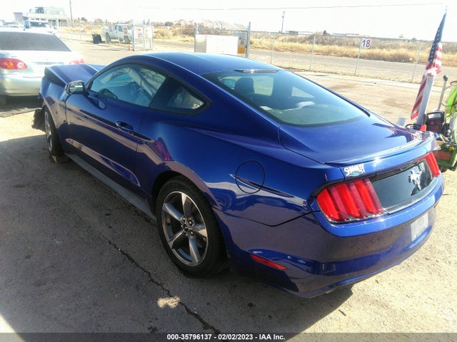 2015 Ford Fastback, VIN: 1FA6P8AM3F5381592