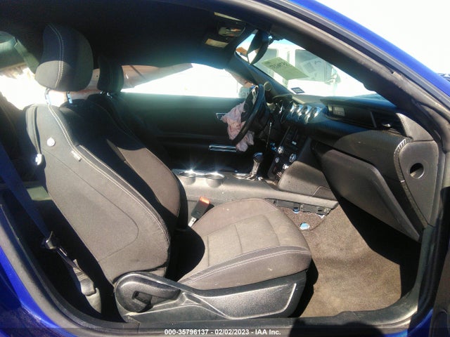 2015 Ford Fastback, VIN: 1FA6P8AM3F5381592
