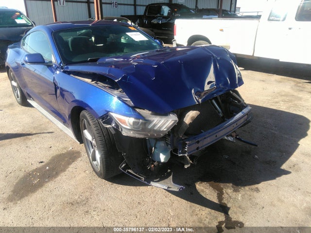 2015 Ford Fastback, VIN: 1FA6P8AM3F5381592