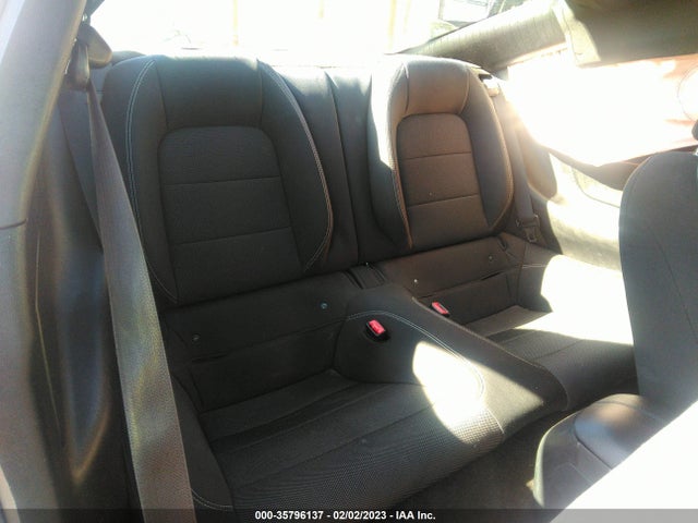 2015 Ford Fastback, VIN: 1FA6P8AM3F5381592