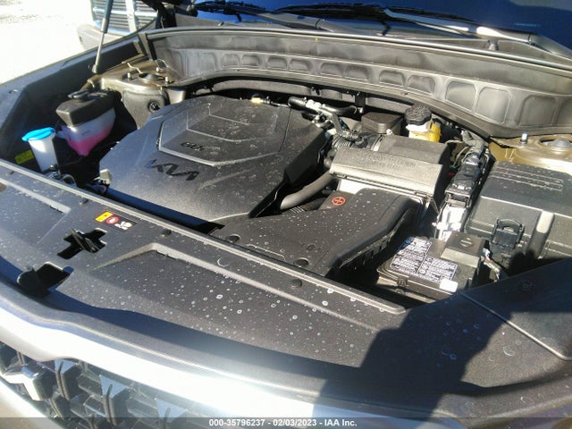 2023 Kia Telluride, VIN: 5XYP3DGC1PG354210