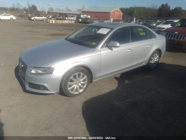WAUEFAFL7BN043409 Audi A4 2.0t Premium Plus