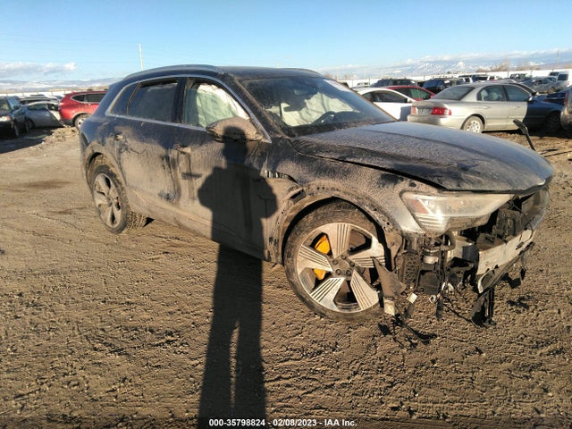 2019 Audi e-tron, VIN: WA1VAAGE5KB006954